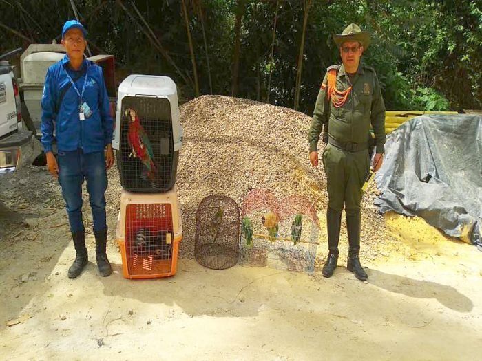 Policía Nacional rescata animales silvestres en Tocaima y Agua de Dios